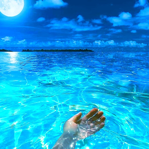 ㅇ유화ㅇ profile image