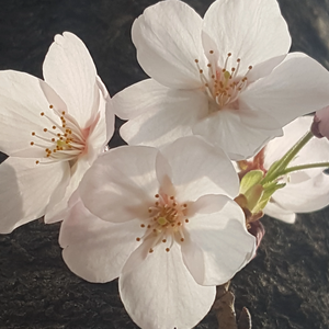 뿌뿌뿌뿝 profile image