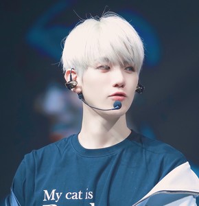 화이트백 profile image