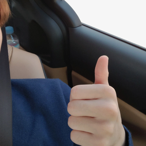 flayroo profile image