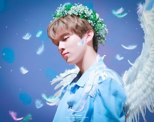 Wooshining1 profile image