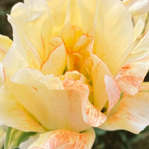 JaeTyong profile image