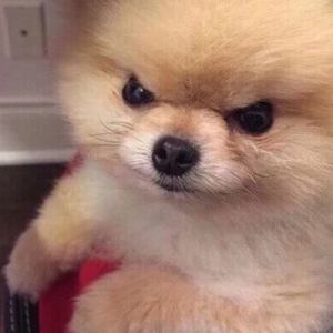 춘향이 profile image