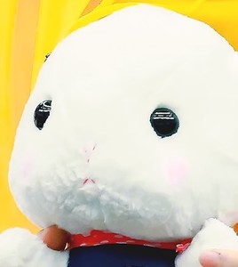 체슶 profile image