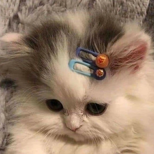 수연⁰⁷ profile image