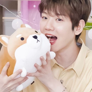 nadyaptr profile image