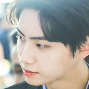 강쥐탈을쓴아기늑대V-3S profile image