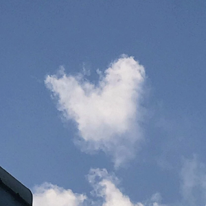 mits19 profile image