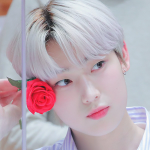 ksunq profile image