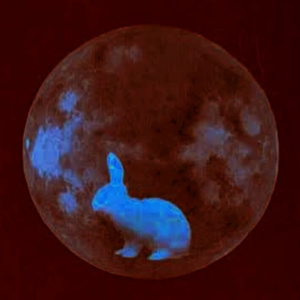 insomniaenby profile image