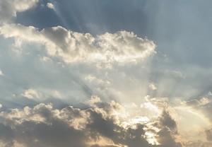 ALMAHA03 profile image