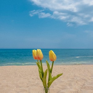 파우더 profile image