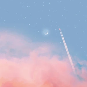 바아다 profile image