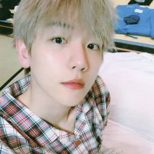 melsxobaek⁴ profile image