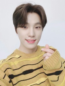 dinoremiwoozi profile image