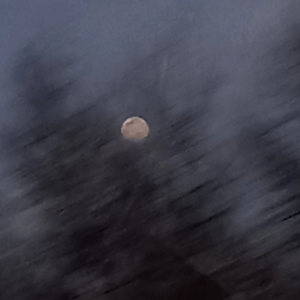 유니콘똥꼬전도사 profile image