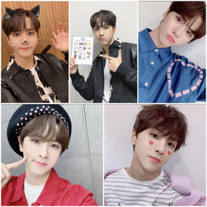 체리맛 profile image