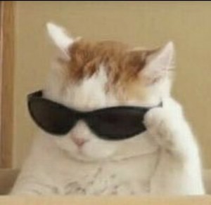 더나잇설이 profile image