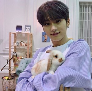 strawLily08 profile image