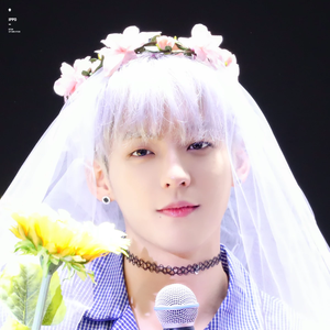 덜미안미ㅣ슈퍼주니어ㅣ예지앞사ㅣ비투비 profile image