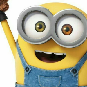 MinionNOCNasiGoreng profile image