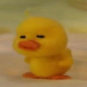 벨루가루가 profile image