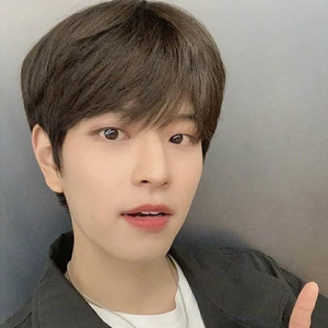 seungminpuffle profile image