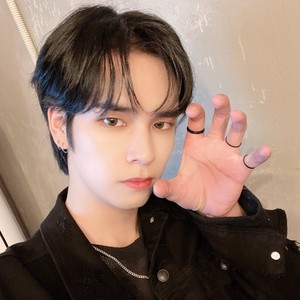 serimeows's profile image