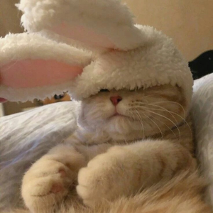 Derthene profile image