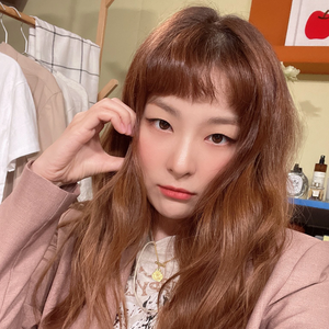 seulgizip profile image
