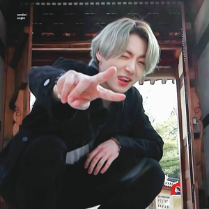 보라보라하징 profile image