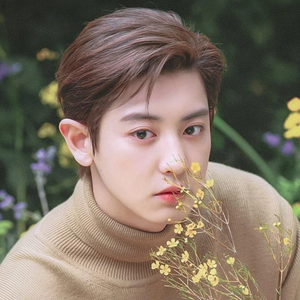 bemayyEXO profile image