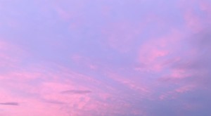 05다현 profile image