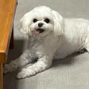 kooyoungbin profile image