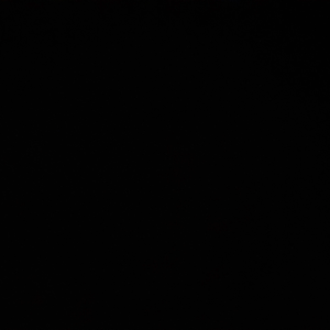 Rr7906393611189 profile image