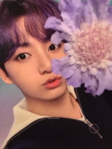 i13bts profile image