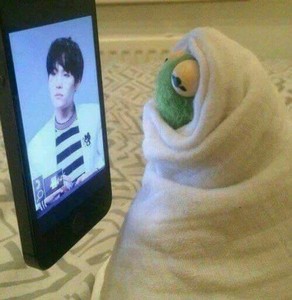 호석이귀여미 profile image