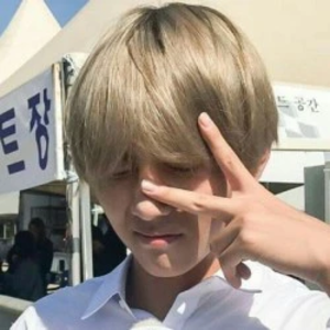 adivantt profile image