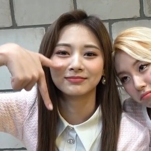 tzuyubias1928281 profile image