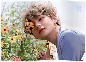 ayasweet profile image