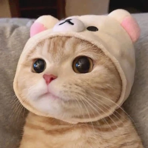 끼냥이 profile image