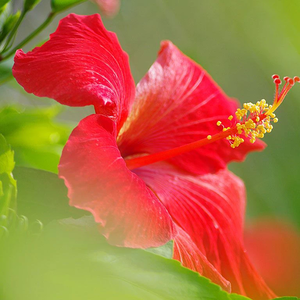 BlueVerryMinPTD profile image