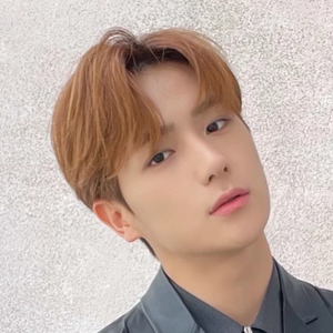 dubicastle3 profile image