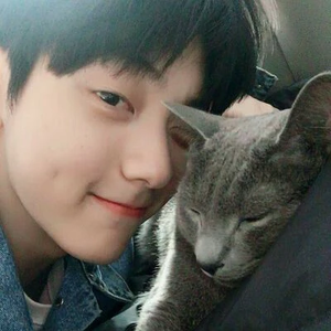 bambinn profile image