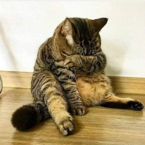 ￼리몬 profile image