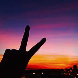 루나해 profile image