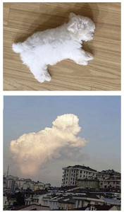 아찻 profile image