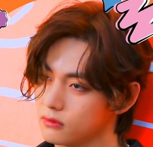 TigerBear6 profile image