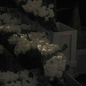 널생각해 profile image