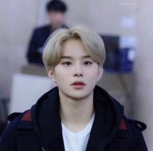 바탕으로 profile image